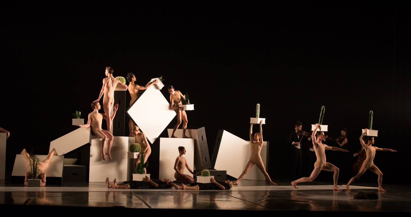 Boston Ballet's Cacti AAAAA© Rosalie O'Connor 